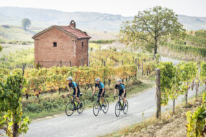 People cycling through vineyard
